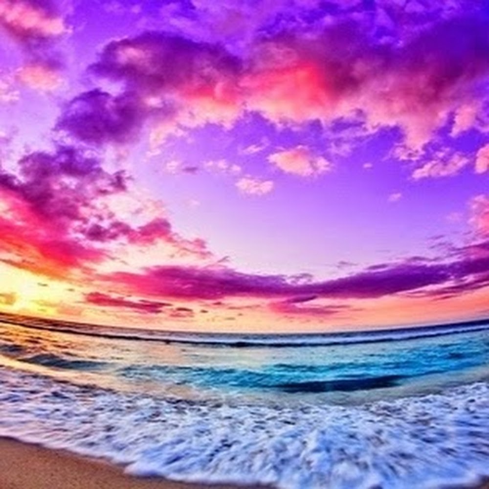 Meet your Posher, Shania